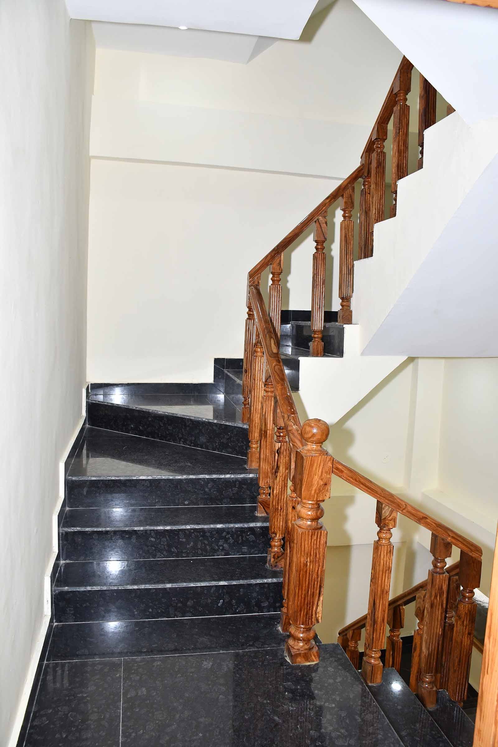 HimalayanWanderLeaf100