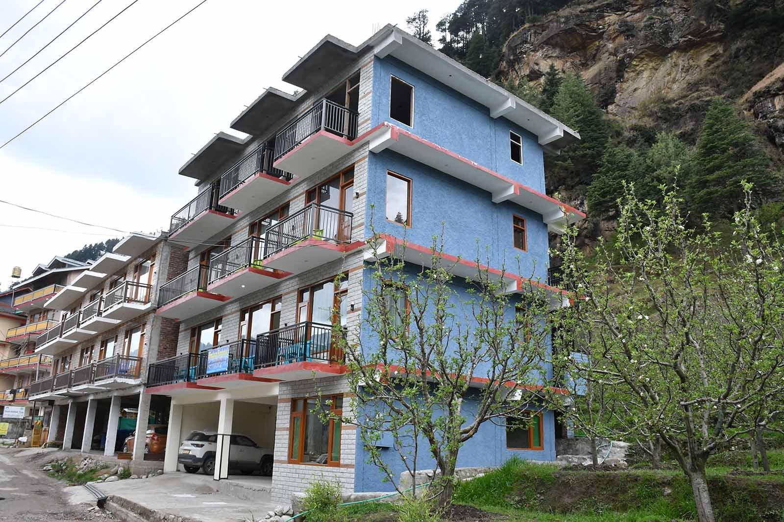 HimalayanWanderLeaf107